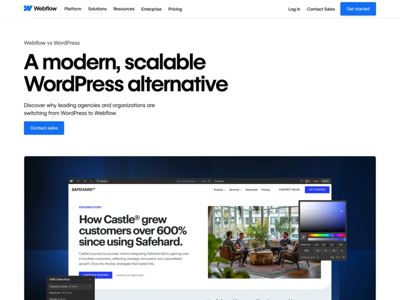 Webflow — Developer Tools скриншот интерфейса