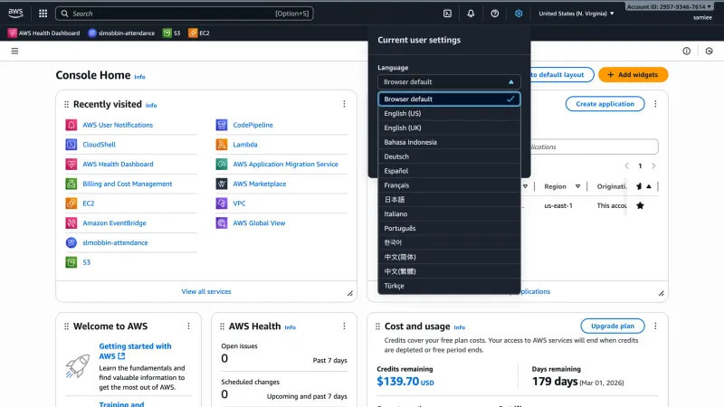 Amazon Web Services — Developer Tools, интерфейс, скриншот 5/503