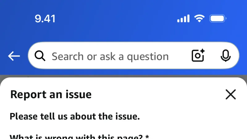 Flag & Report — Amazon Shopping, E-commerce UI
