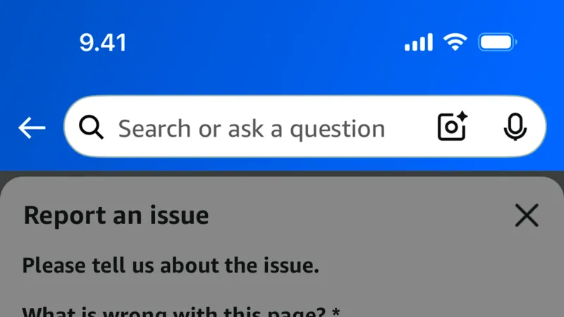 Flag & Report — Amazon Shopping, E-commerce UI