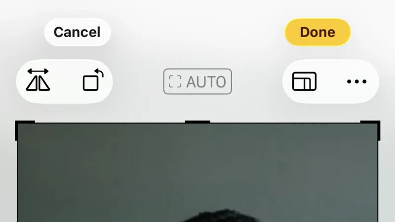 Apple Photos — Productivity, интерфейс, скриншот 5/148