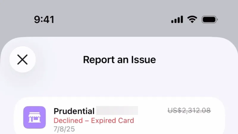 Flag & Report — Apple Wallet, Fintech UI