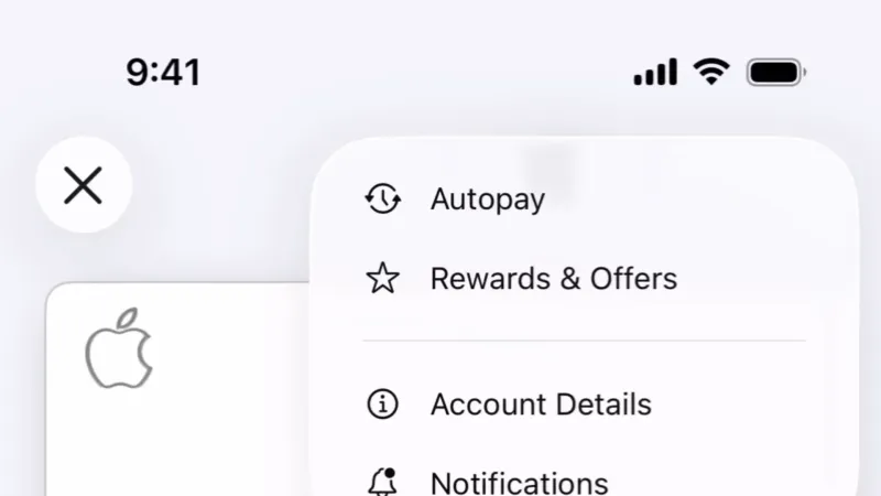 Icon — Apple Wallet, Fintech UI