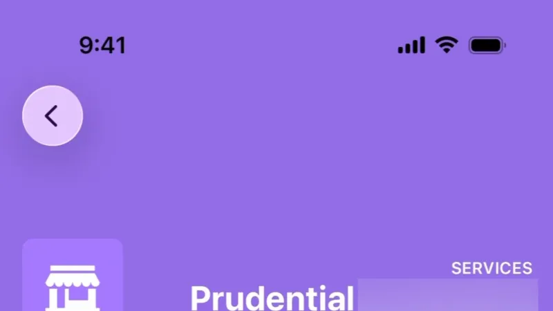 Timeline & History — Apple Wallet, Fintech UI