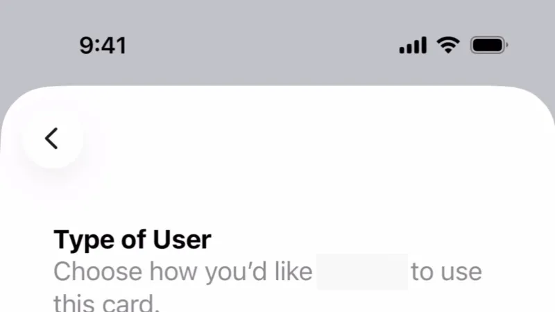 Account Setup — Apple Wallet, Fintech UI