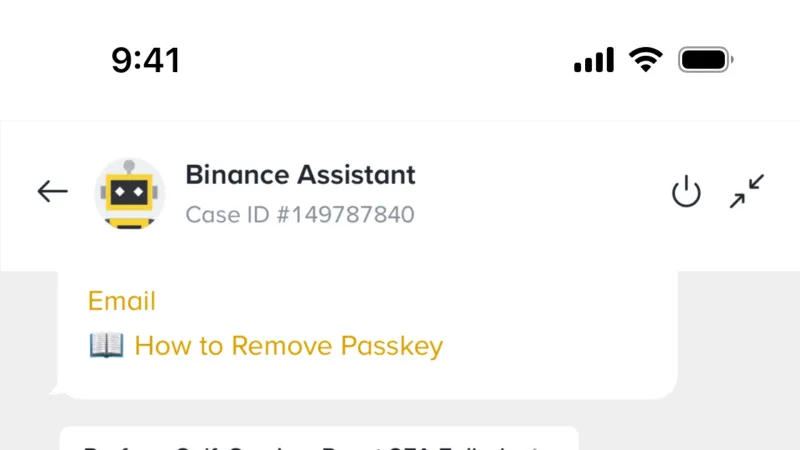 Chat Bot — Binance, Fintech UI