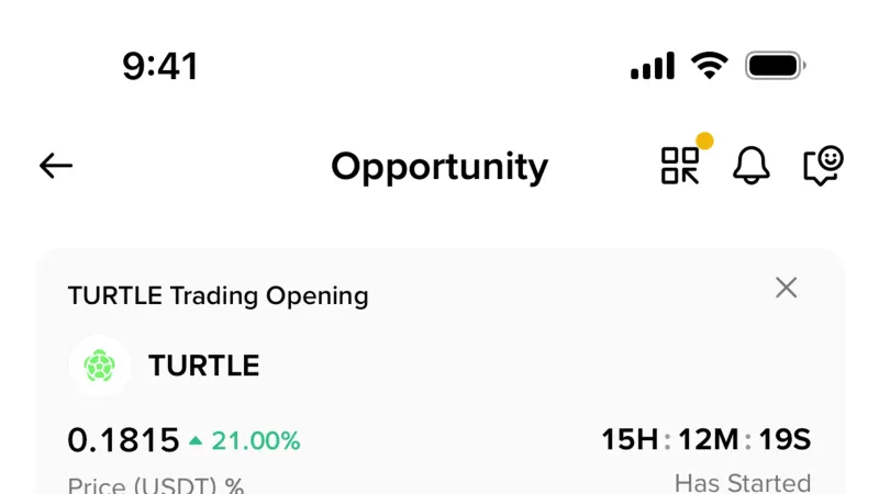 Divider — Binance, Fintech UI