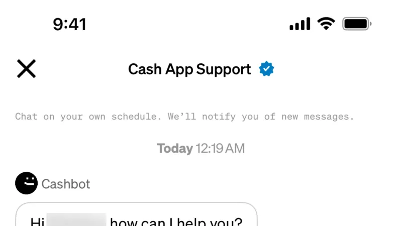 Chat Bot — Cash App, Fintech UI