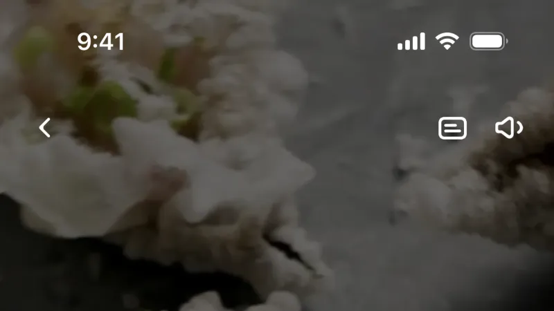 Video Player — CREME, Food & Drink UI