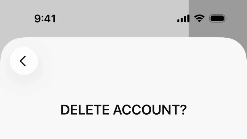 Delete & Deactivate Account — DeepSeek, AI & ML UI