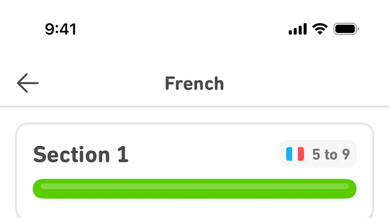 Stacked List — Duolingo, Education UI