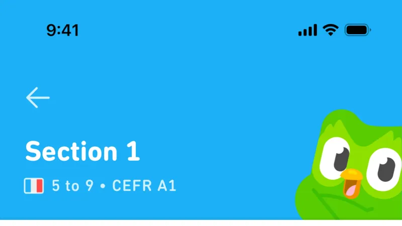Accordion — Duolingo, Education UI