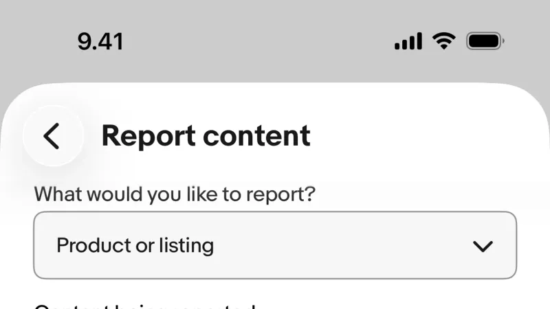 Flag & Report — eBay, E-commerce UI