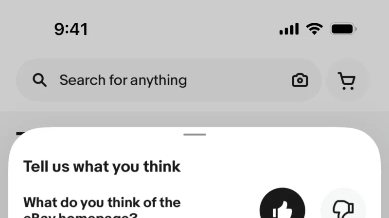 Feedback — eBay, E-commerce UI