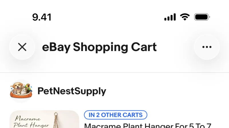 Divider — eBay, E-commerce UI