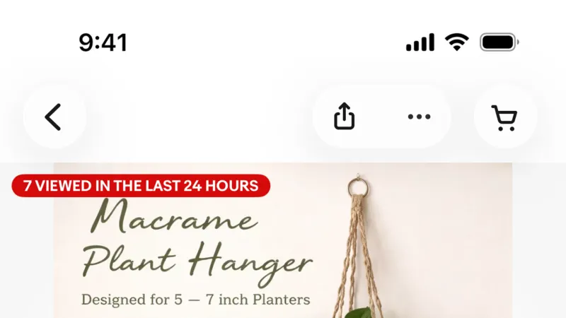 Product Detail — eBay, E-commerce UI
