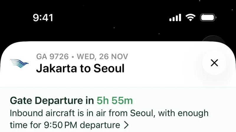 Other Content — Flighty, Travel UI