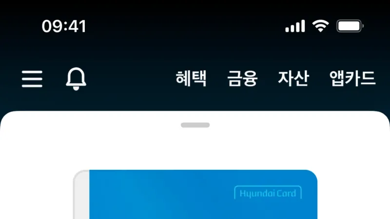 Other Content — Hyundai Card, Fintech UI