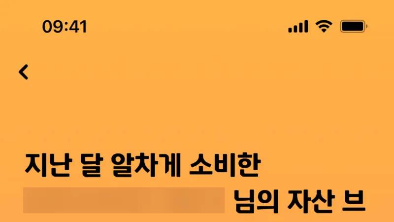 Other Content — Hyundai Card, Fintech UI