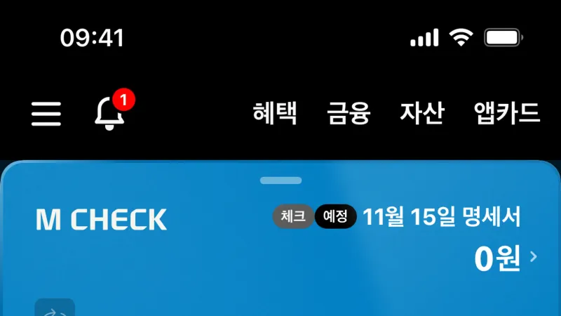 Wallet & Balance — Hyundai Card, Fintech UI