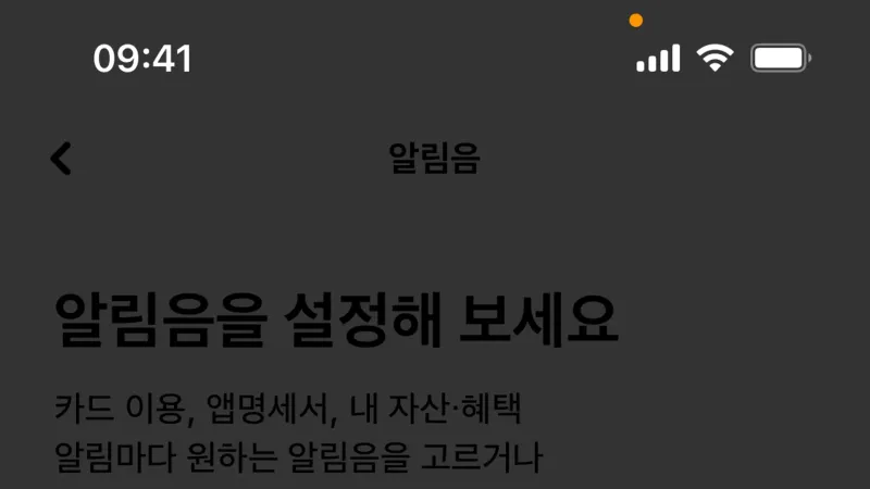 Audio & Video Recorder — Hyundai Card, Fintech UI