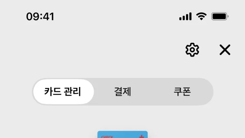 Segmented Control — Hyundai Card, Fintech UI