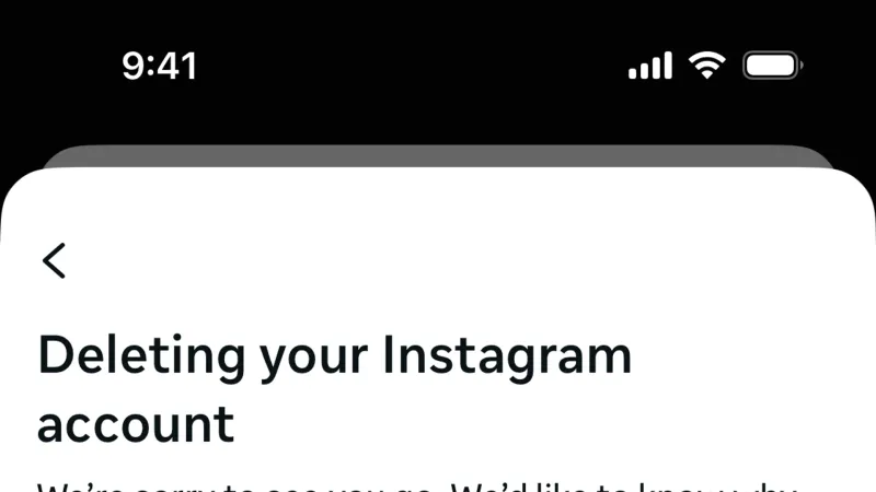 Delete & Deactivate Account — Instagram, Social UI