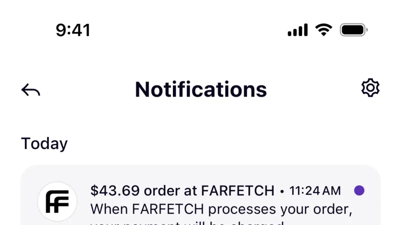 Status Dot — Klarna, Fintech UI