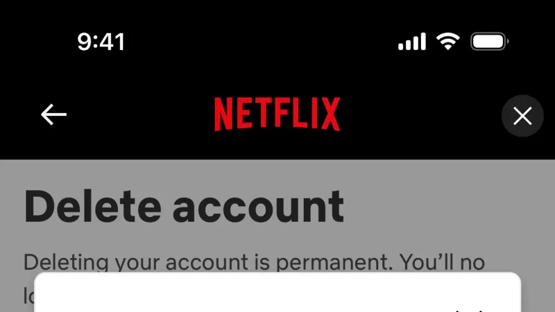 Confirmation — Netflix, Entertainment UI