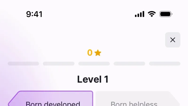 Quiz — Nibble, Food & Drink UI
