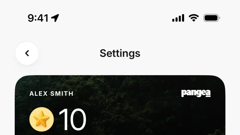 Wallet & Balance — Pangea Charging, Travel UI