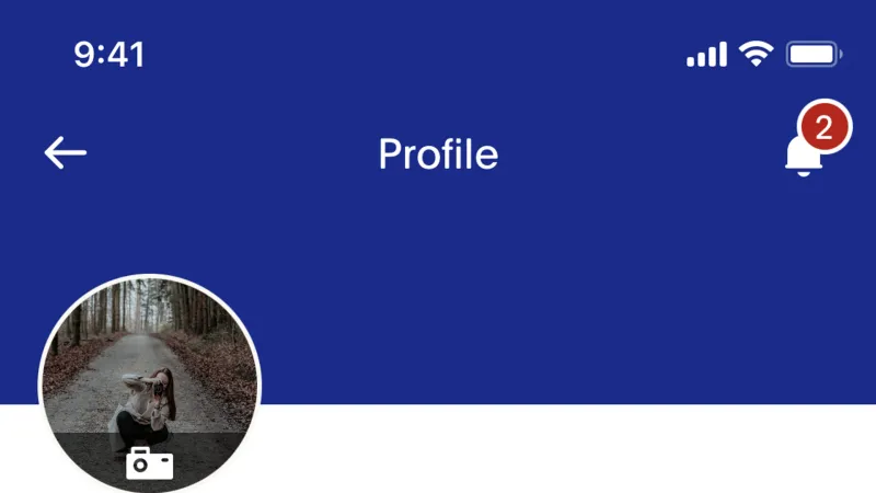 Avatar — PayPal, Fintech UI