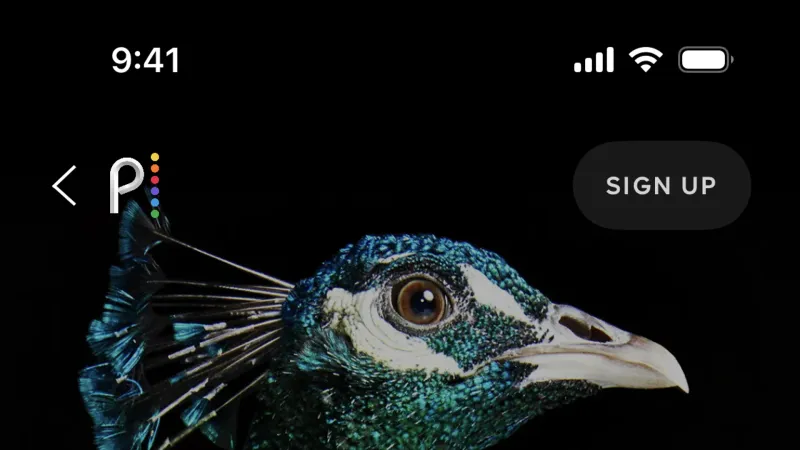 Peacock — Entertainment, интерфейс, скриншот 7/127