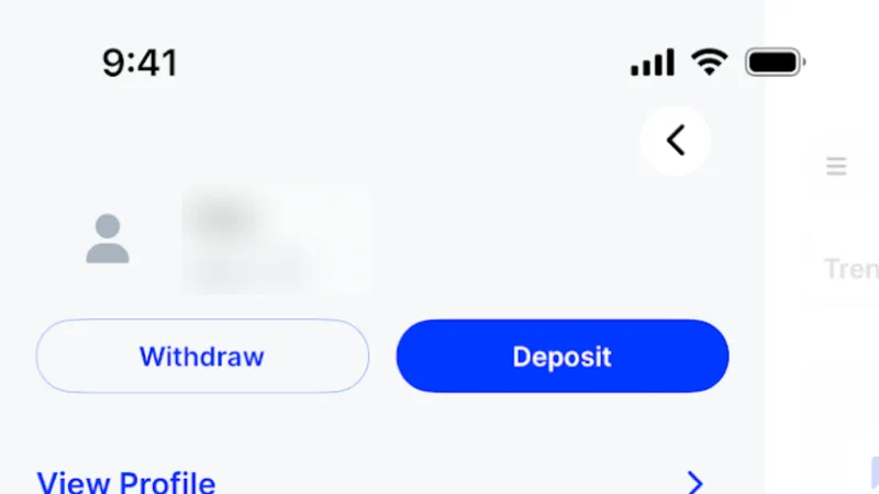 Settings & Preferences — Public, Fintech UI