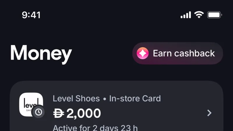 Wallet & Balance — Tabby, Fintech UI