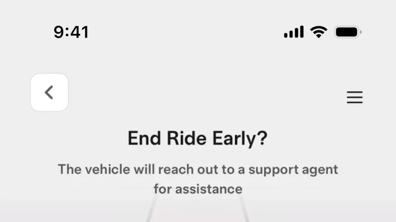 Confirmation — Tesla Robotaxi, Travel UI