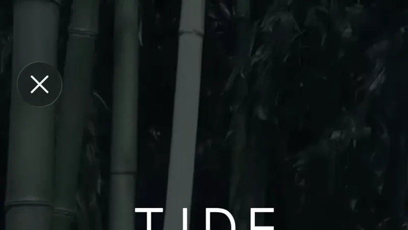 Button — Tide, Fintech UI