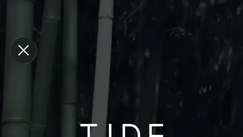 Checkbox — Tide, Fintech UI