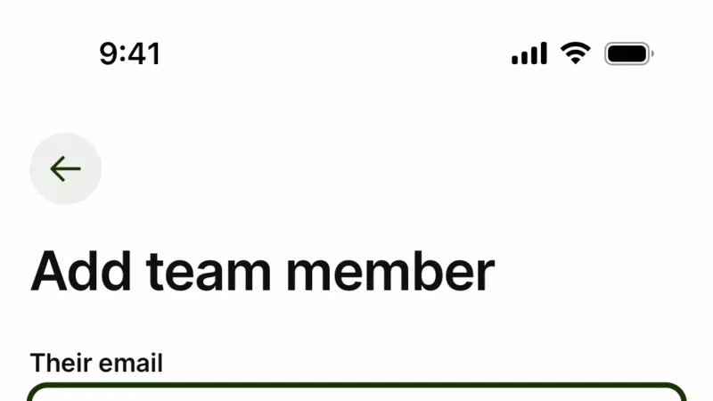 Invite Teammates — Wise, Fintech UI