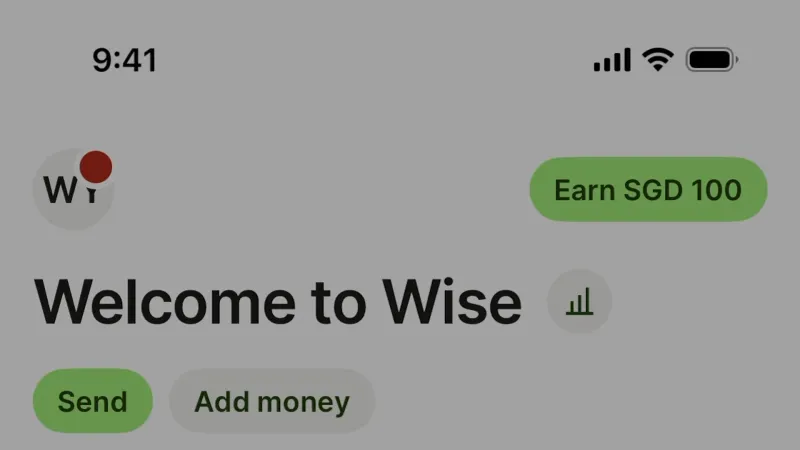Text Field — Wise, Fintech UI
