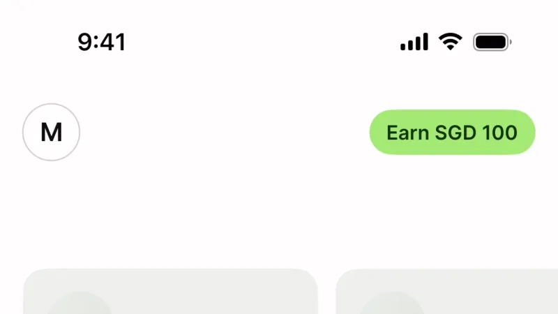 Skeleton — Wise, Fintech UI