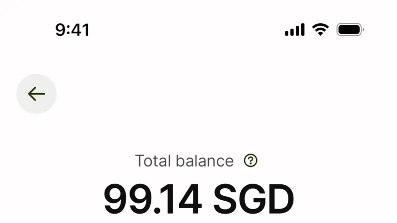 Wallet & Balance — Wise, Fintech UI