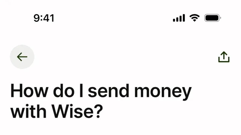 Help & Support — Wise, Fintech UI