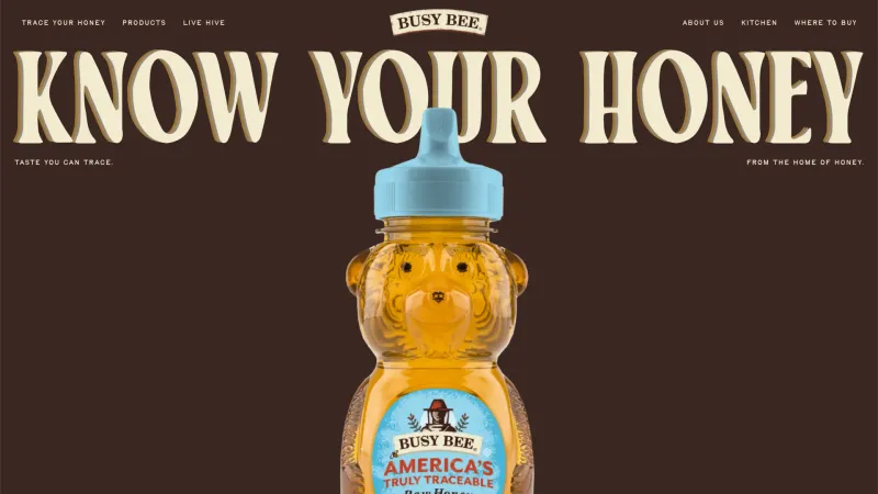 Busy Bee Honey — CTA Section, Footer Section, скриншот 6/9