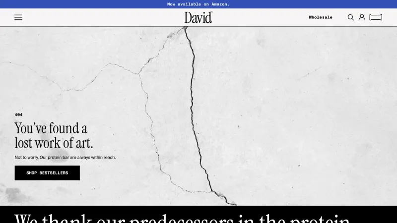 David — 404, скриншот 2/9