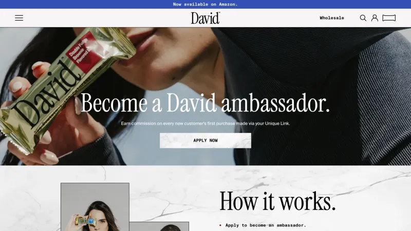 David — Hero Section, How It Works, скриншот 8/9