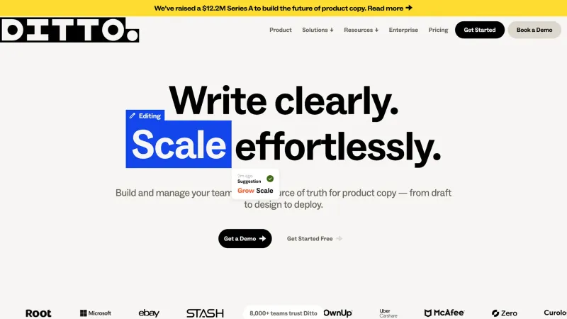 Stats Section — Ditto, Productivity UI
