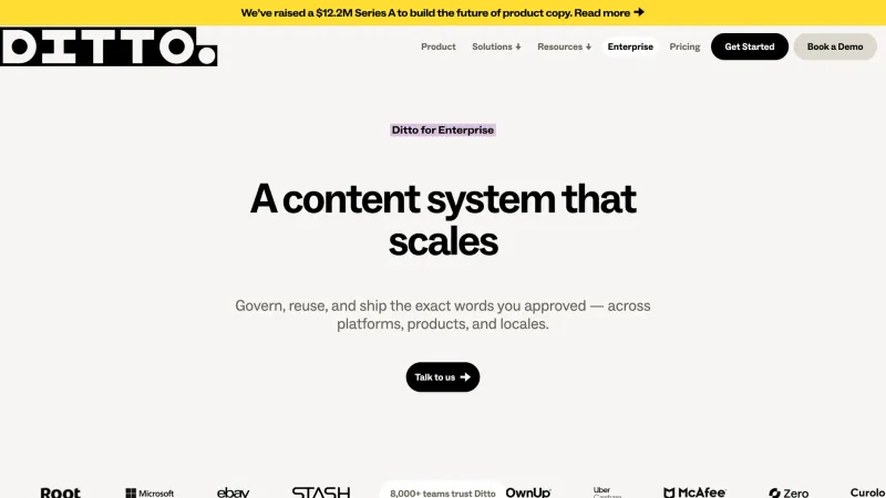 Stats Section — Ditto, Productivity UI