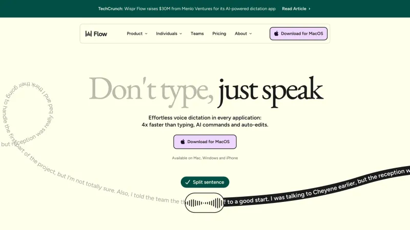 Wispr Flow — CTA Section, Downloads, скриншот 8/10