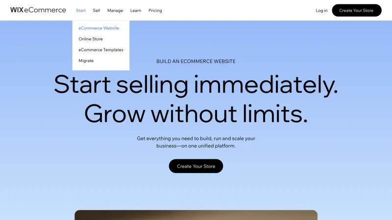 Wix — Design, интерфейс, скриншот 1164